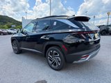New 2025 Hyundai Tucson Limited image 5