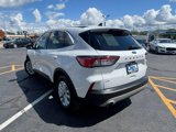 Used 2020 Ford Escape SE image 3