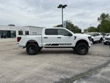 New 2025 Ford F150 STX w/ Equipment Group 200A image 2