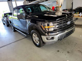 Used 2024 Ford F150 XLT image 4