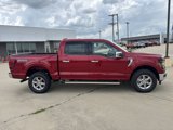 New 2025 Ford F150 XLT w/ Equipment Group 302A MID image 3