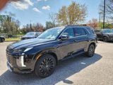 New 2025 Hyundai Palisade Calligraphy image 3