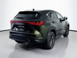 New 2025 Lexus NX 300h AWD w/ Luxury Package image 5