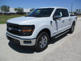 New 2025 Ford F150 XLT image 3