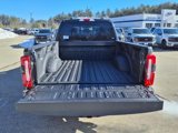 New 2025 Ford F350 XLT w/ Black Appearance Package image 6