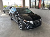 Used 2022 Hyundai Tucson Limited w/ Cargo Package image 4