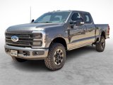 New 2025 Ford F250 Platinum w/ Tremor Off-Road Package image 5