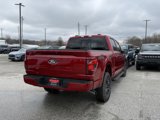 New 2025 Ford F150 XLT w/ Equipment Group 302A MID image 6