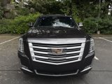 Used 2018 Cadillac Escalade ESV Platinum image 2