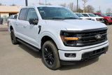 New 2025 Ford F150 XLT w/ Equipment Group 302A MID image 2