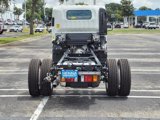 New 2025 Chevrolet Low Cab Forward image 5