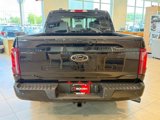 New 2025 Ford F150 XLT w/ Equipment Group 302A MID image 5