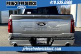New 2025 Ford F150 XLT w/ Equipment Group 303A High image 4