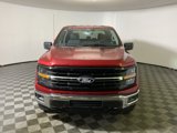 New 2025 Ford F150 XLT w/ Equipment Group 301A Standard image 3