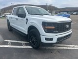 New 2025 Ford F150 STX w/ STX Black Appearance Package image 3