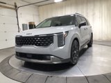 New 2026 Kia Carnival SX Prestige image 3
