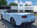 Certified 2024 Ford Mustang Premium image 3