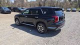 New 2025 Hyundai Palisade Limited image 4