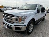 Used 2019 Ford F150 XLT w/ Equipment Group 302A Luxury image 4