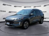 Used 2020 Ford Escape SEL image 3