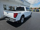New 2025 Ford F150 XLT w/ Equipment Group 303A High image 4