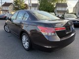 Used 2011 Honda Accord EX-L image 6