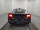 Used 2024 Ford Mustang GT image 5