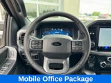 New 2025 Ford F150 XLT w/ Equipment Group 302A MID image 6