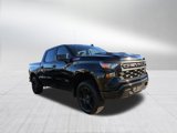 New 2025 Chevrolet Silverado 1500 Custom Trail Boss w/ Turbomax Blackout Package image 2