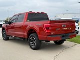 Certified 2023 Ford F150 XLT w/ Equipment Group 302A High image 3