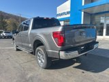 New 2025 Ford F150 XLT w/ Equipment Group 302A MID image 5