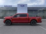 New 2025 Ford F150 XLT image 3