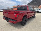 New 2025 Ford F150 XLT image 6