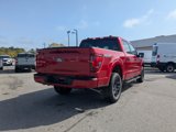 New 2025 Ford F150 XLT w/ Equipment Group 302A MID image 4