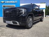 New 2025 GMC Sierra 1500 Denali Ultimate image 2