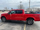 Used 2020 Ford F150 XLT w/ Equipment Group 302A Luxury image 3