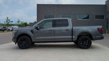 New 2025 Ford F150 Platinum image 2