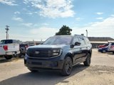 New 2025 Ford Expedition Platinum image 2