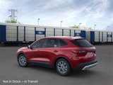 New 2025 Ford Escape Active w/ Tech Pack #1 image 4