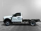 New 2025 Ford F550 4x4 Regular Cab Super Duty image 2
