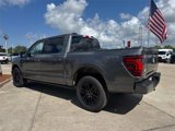 New 2025 Ford F150 Platinum image 4