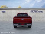 New 2025 Ford F150 XLT image 5
