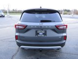 Used 2024 Ford Escape SE w/ PHEV Premium Package image 4