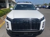 New 2025 Hyundai Palisade XRT image 6