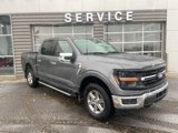 New 2025 Ford F150 XLT w/ Equipment Group 302A MID image 4