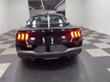 New 2025 Ford Mustang GT Premium w/ Mustang Nite Pony Package image 3