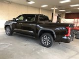 New 2025 Toyota Tundra 1794 Edition image 6