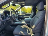 New 2025 Ford F150 XLT image 6