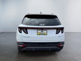 Used 2023 Hyundai Tucson Limited image 6