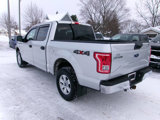 Used 2016 Ford F150 XLT image 5